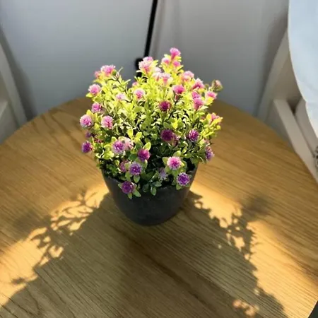 Apartamento Céntrico Cerca De Las Estáciones