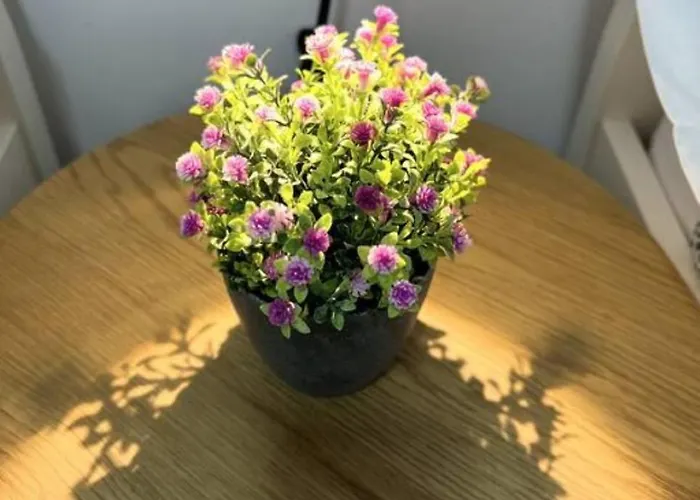 Apartamento Centrico Cerca De Las Estaciones